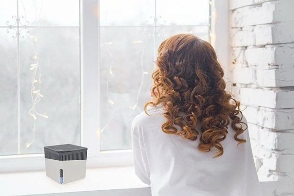 Ανταλλακτικό Απορροφητήρα Υγρασίας Wessper 500 g, έως 40 m³, Wenko