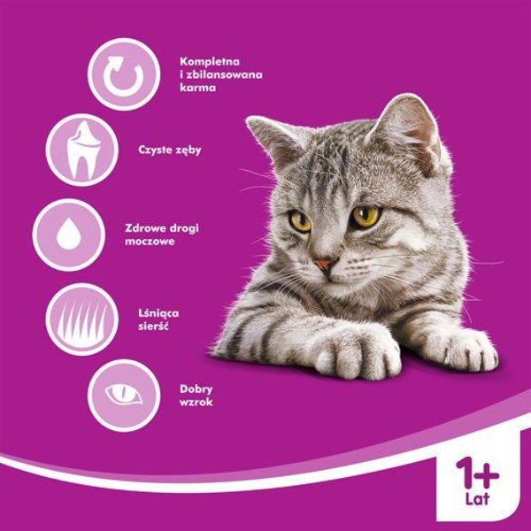 Whiskas Ενήλικη ξηρά τροφή για ενήλικη γάτα με βοδινό 14kg