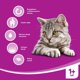 Whiskas Ενήλικη ξηρά τροφή για ενήλικη γάτα με βοδινό 14kg