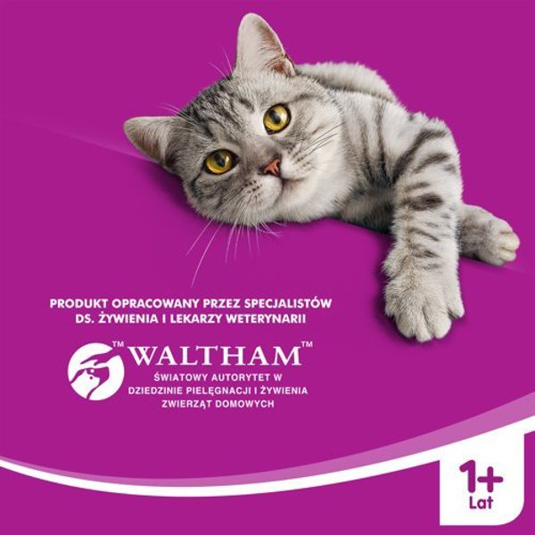 Whiskas Ενήλικη ξηρά τροφή για ενήλικη γάτα με βοδινό 14kg