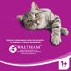 Whiskas Ενήλικη ξηρά τροφή για ενήλικη γάτα με βοδινό 14kg