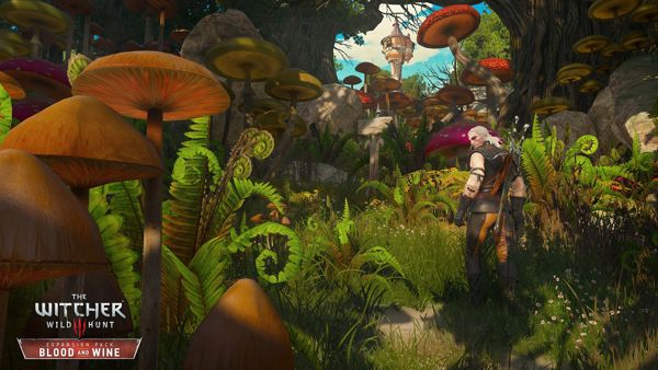 The Witcher 3: Wild Hunt - Έκδοση Παιχνιδιού της Χρονιάς Xbox One