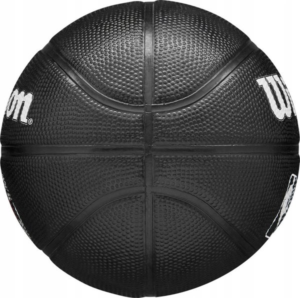 Wilson Wilson Team Tribute Toronto Raptors Mini Ball WZ4017608XB Μαύρο 3
