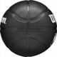 Wilson Wilson Team Tribute Toronto Raptors Mini Ball WZ4017608XB Μαύρο 3