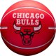 Wilson Wilson NBA Dribbler Chicago Bulls Mini Ball WTB1100PDQCHI Czerwone One size