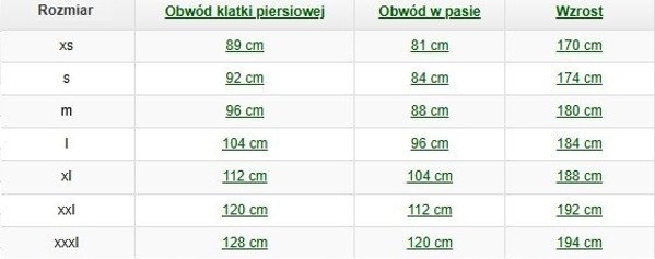Χειμερινό μπουφάν HELLY HANSEN Oxford Softsheel Χειμερινό Μπουφάν, πράσινο M