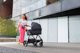 Καρότσι KinderKraft Καρότσι KINDERKRAFT καρότσι 2 σε 1 NEA 2 σε 1 πλατινέ γκρι, KSNEA000GRY2000 14235244 5902533919826