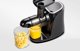 Αργής περιστροφής αποχυμωτής AMZCHEF GM3001-BK (μαύρο)
