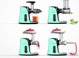 Αργής περιστροφής αποχυμωτής AMZCHEF GM3001-GN (πράσινο)