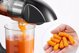 Αργής περιστροφής αποχυμωτής AMZCHEF GM3001-GN (πράσινο)