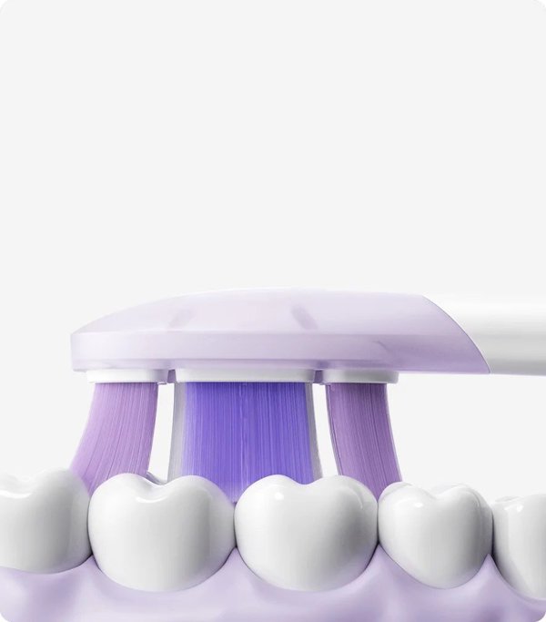 Xiaomi | Oscillation Electric Toothbrush Replacement Heads (Soft), 3 pcs