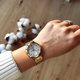 Γυναικείο ρολόι Casio LTP-V300G 7A (zd566b) + BOX