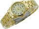 Ρολόι Casio ΓΥΝΑΙΚΕΙΟ ΡΟΛΟΪ CASIO LTP-V001G-9BUDF (zd589c)