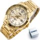 Ρολόι Casio Ανδρικό Ρολόι Casio DIVER Χρυσό (45 mm)