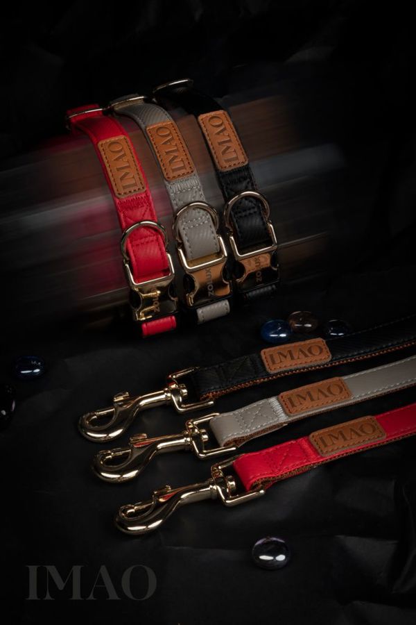 Zolux Σαμαράκι IMAO MAYFAIR 20 mm χρώμα κόκκινο