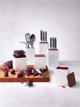 Zwilling Σετ 4 κεραμικών δοχείων Zwilling 13938243 4009839415685