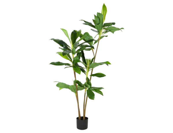 Tεχνητό φυτό σε γλάστρα Δράκαινα - 175cm 8720573112819