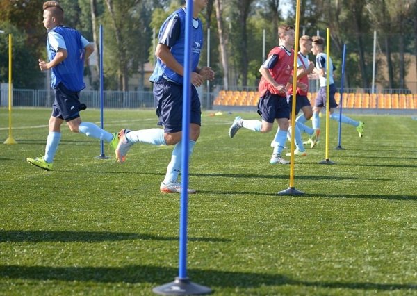10x Ράβδος εκπαίδευσης 1,6 m ροζ