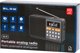 Radio przenosne analogowe AM/FM BT Blow RA18