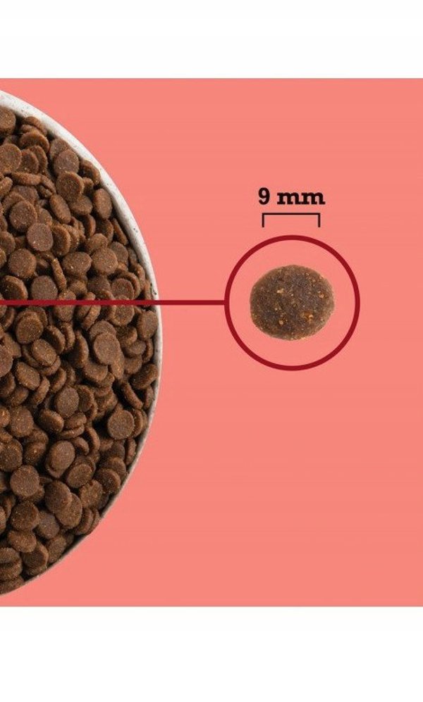 Acana ACANA Highest Protein Indoor Cat 4,5kg