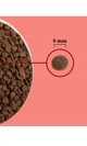 Acana ACANA Highest Protein Indoor Cat 4,5kg