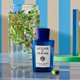 ACQUA DI PARMA Mirto di Panarea La Riserva EDP spray 100ml