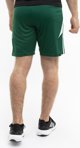 Ανδρικό Σορτς Adidas adidas Tiro 24 πράσινο IS1410 L