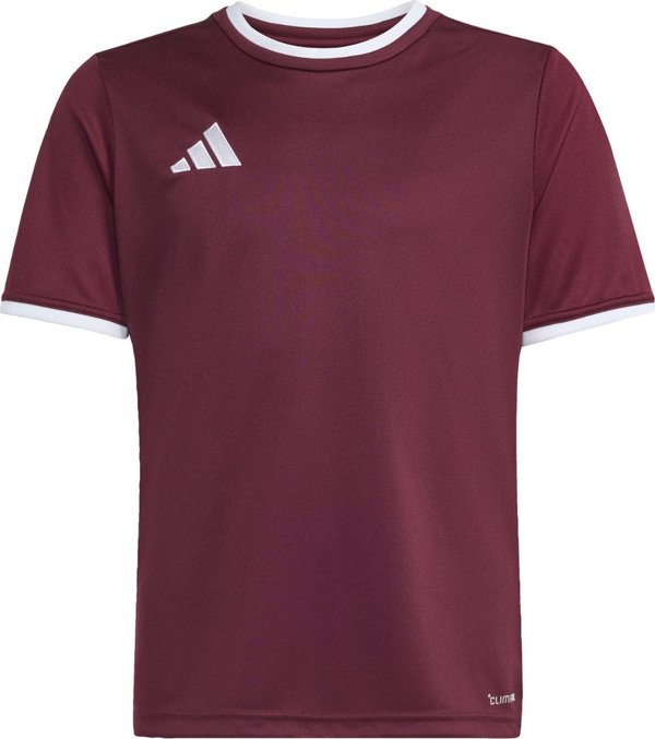 Adidas Koszulka dla dzieci adidas Entrada 26 Jersey bordowa JZ2530 128cm