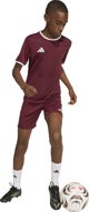 Adidas Koszulka dla dzieci adidas Entrada 26 Jersey bordowa JZ2530 128cm