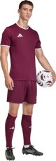 Adidas ανδρική μπλούζα adidas Entrada 26 Jersey μπορντό JZ2507 2XL