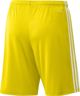 Adidas Σορτς adidas SQUADRA 21 Short GN5772 GN5772 κίτρινο L
