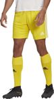 Adidas Σορτς adidas SQUADRA 21 Short GN5772 GN5772 κίτρινο L