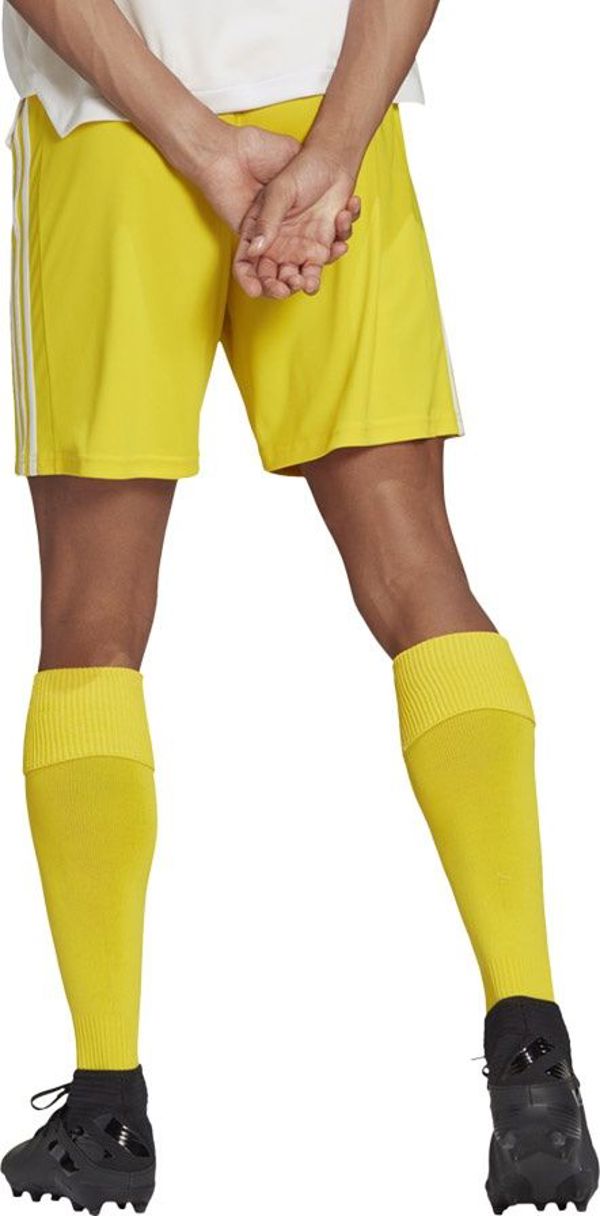 Adidas Σορτς adidas SQUADRA 21 Short GN5772 GN5772 κίτρινο L