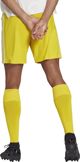 Adidas Σορτς adidas SQUADRA 21 Short GN5772 GN5772 κίτρινο L