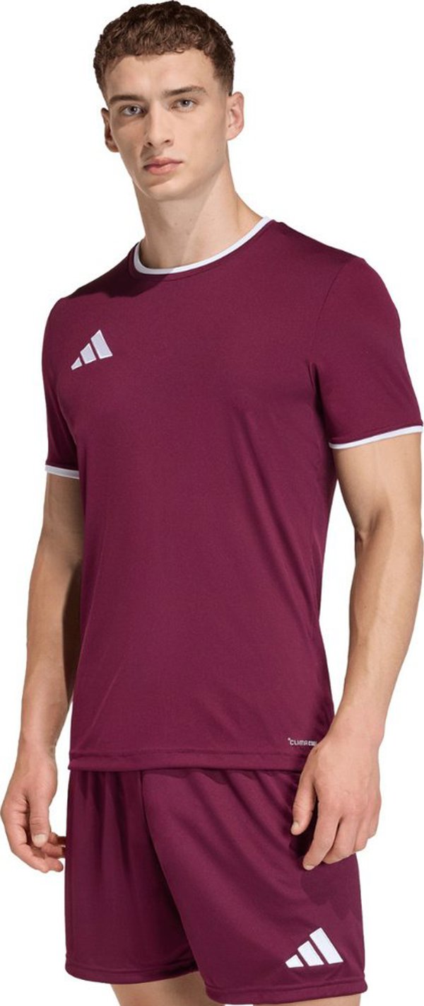 adidas Ανδρική μπλούζα Entrada 26 Jersey μπορντό JZ2507 M