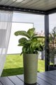 Adoni Γλάστρα Χειροποίητη από Γιούτα, Πράσινη με Ένθετο, 28x47 cm