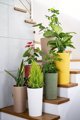 Adoni Χειροποίητη Γλάστρα Από Γιούτα, Κίτρινη, Με Ένθετο, 32x57 cm