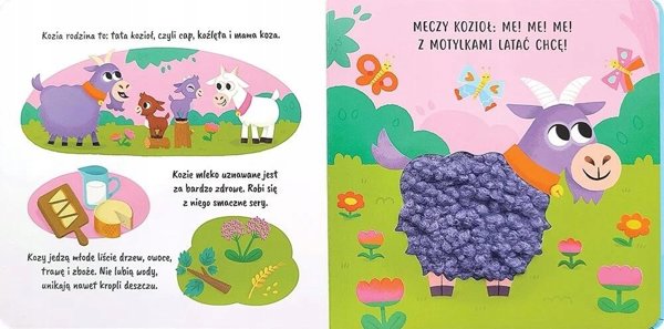 Aksjomat Dotykam i poznaję. Na wsi. Książeczka sensoryczna