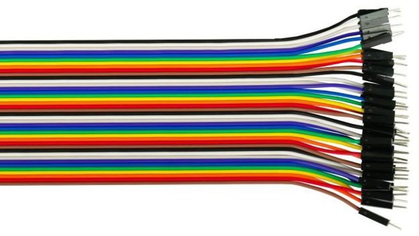 Alcasa kabelmeister Jumper Wire 40-Pin St-St 5er-Set 20cm 13976558 4066857002167