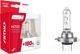 AMiO Σετ λαμπτήρων αλογόνου H7 12V 55W LumiTec SILVER +100% DUO BOX
