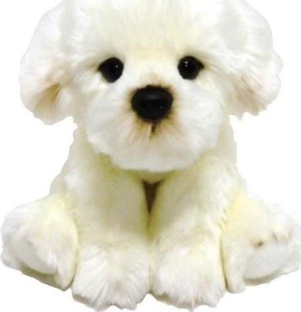 Anek Fluffy Fam pies Bichon 30cm