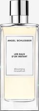 Angel Schlesser Les Eaux D'Un Instant Blooming Grapefruit Eau του Toilete Spray 100ml