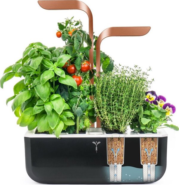 Anker Véritable SMART - Αυτόματο γλαστράκι με ρύθμιση φωτισμού, μαύρο χάλκινο + 4 φυτικές κάψουλες