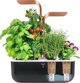 Anker Véritable SMART - Αυτόματο γλαστράκι με ρύθμιση φωτισμού, μαύρο χάλκινο + 4 φυτικές κάψουλες