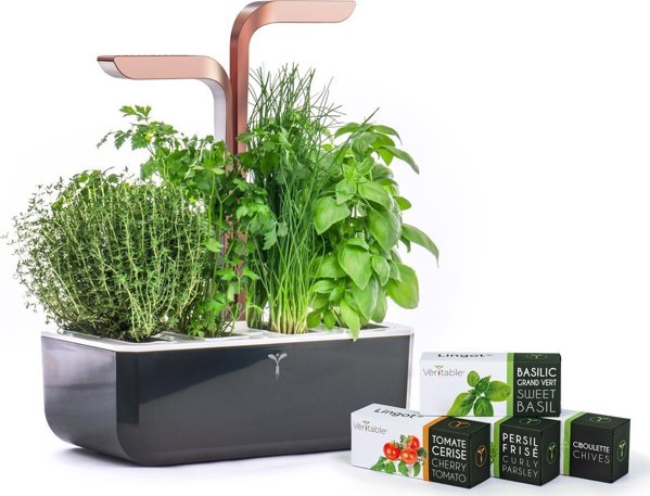 Anker Véritable SMART - Αυτόματο γλαστράκι με ρύθμιση φωτισμού, μαύρο χάλκινο + 4 φυτικές κάψουλες