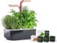 Anker Véritable SMART - Αυτόματο γλαστράκι με ρύθμιση φωτισμού, μαύρο χάλκινο + 4 φυτικές κάψουλες