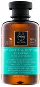 Apivita Oily Roots & Dry Ends Shampoo with Nettle & Propolis 250ml