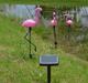 Aptel 3 Solarne lampy ogrodowe LED Flamingi IP65 (ZD50K)
