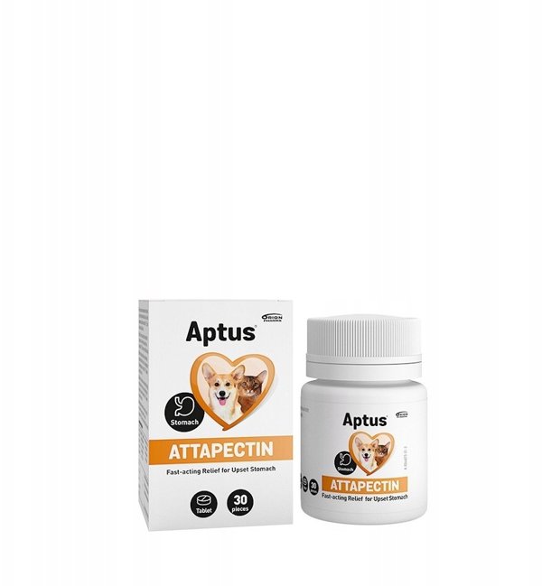 APTUS ATTAPECTIN ostre biegunki pies i kot 30szt