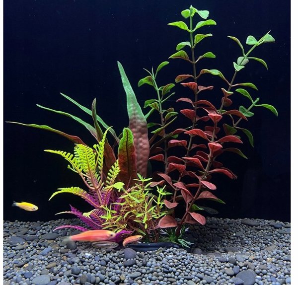 Aqua Natura πλαστικά φυτά για διακόσμηση ενυδρείου 18 cm κόκκινο-πράσινο μείγμα